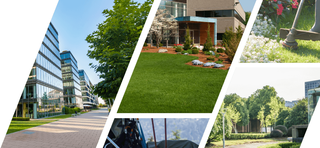 CanWest Landscaping Service banner