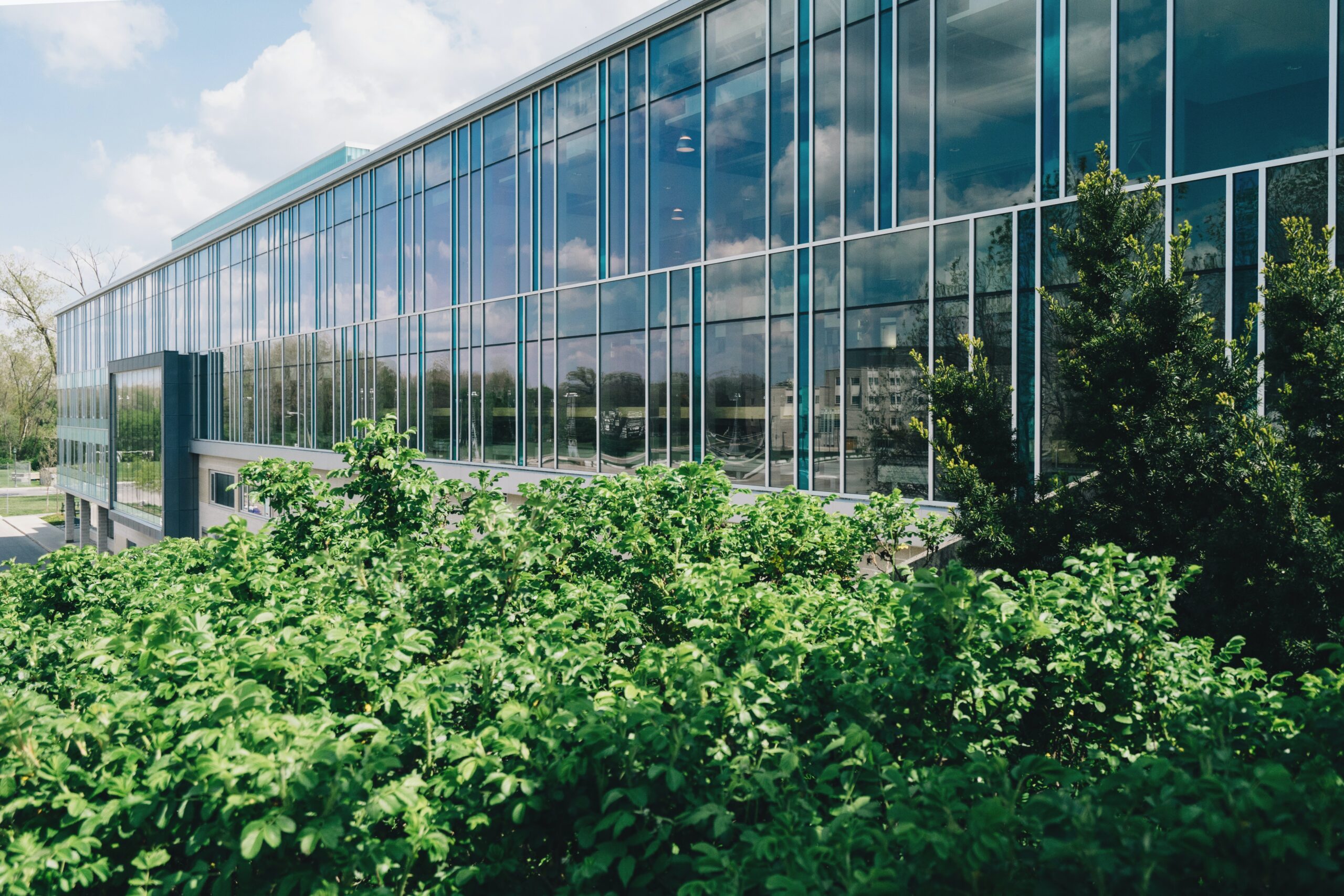 exterior Windows