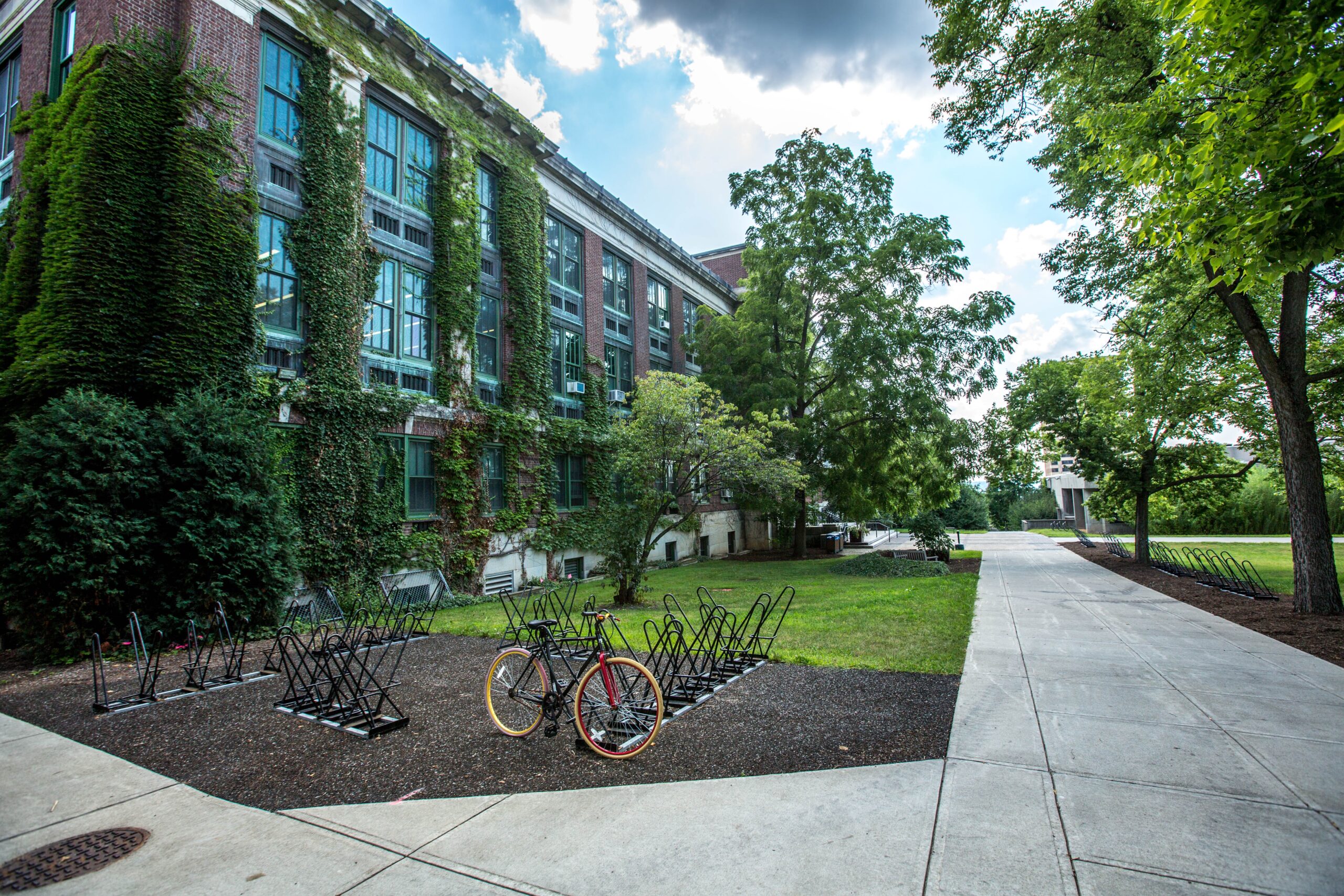 building landscape